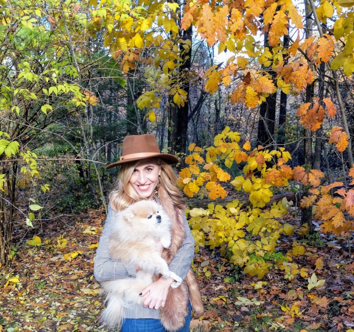 MVIMG_20181103_145804