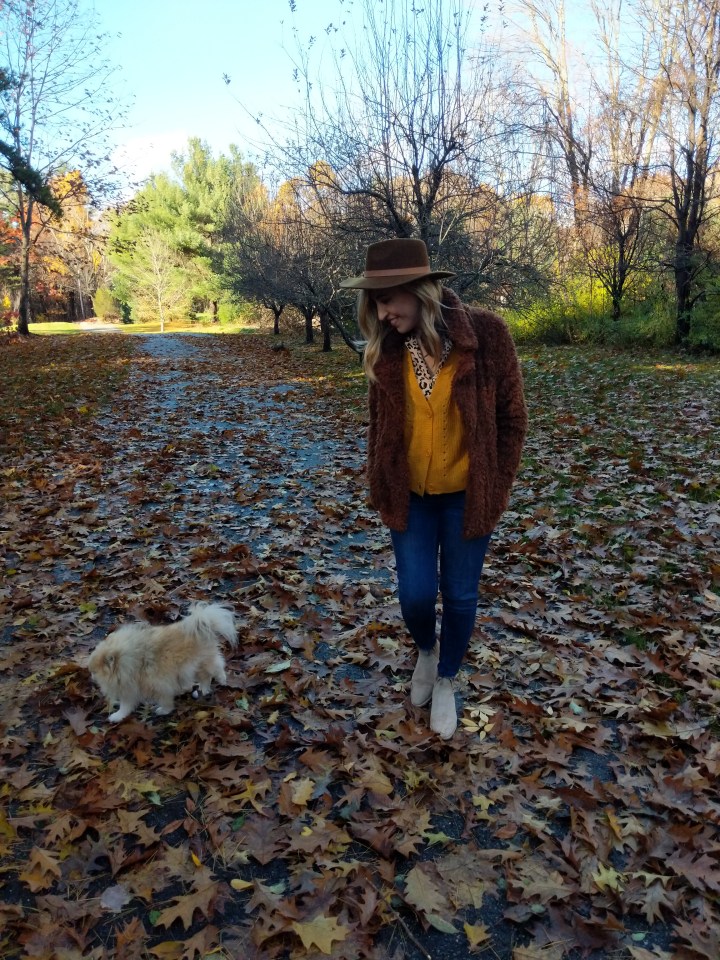 MVIMG_20181103_152605_1